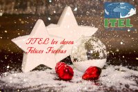 Felices Fiestas!